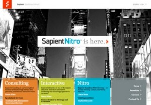 sapient - training management